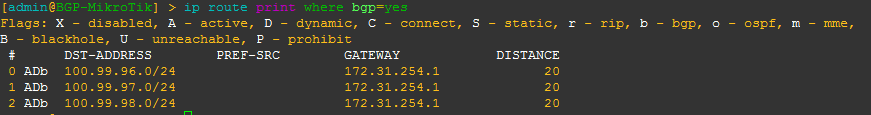 ip-route-where-bgp-yes